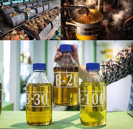 Dorongan Biodiesel dari Pasar Global