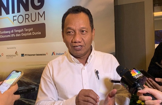 Direktur Jenderal Mineral dan Batu Bara Kementerian ESDM, Tri Winarno, menjelaskan bahwa masalah utama hanya terjadi pada bijih limonit.
